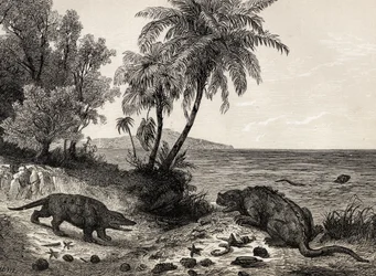 Landschaft aus der Kreidezeit